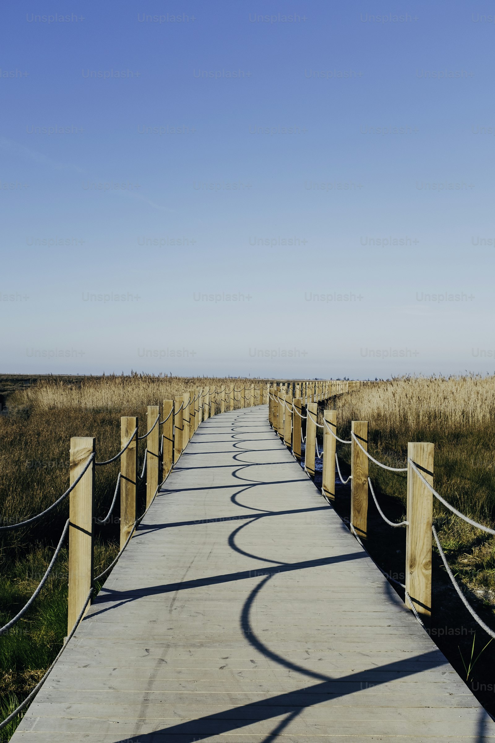 Wooden walkway through dunes near Aveiro's coast