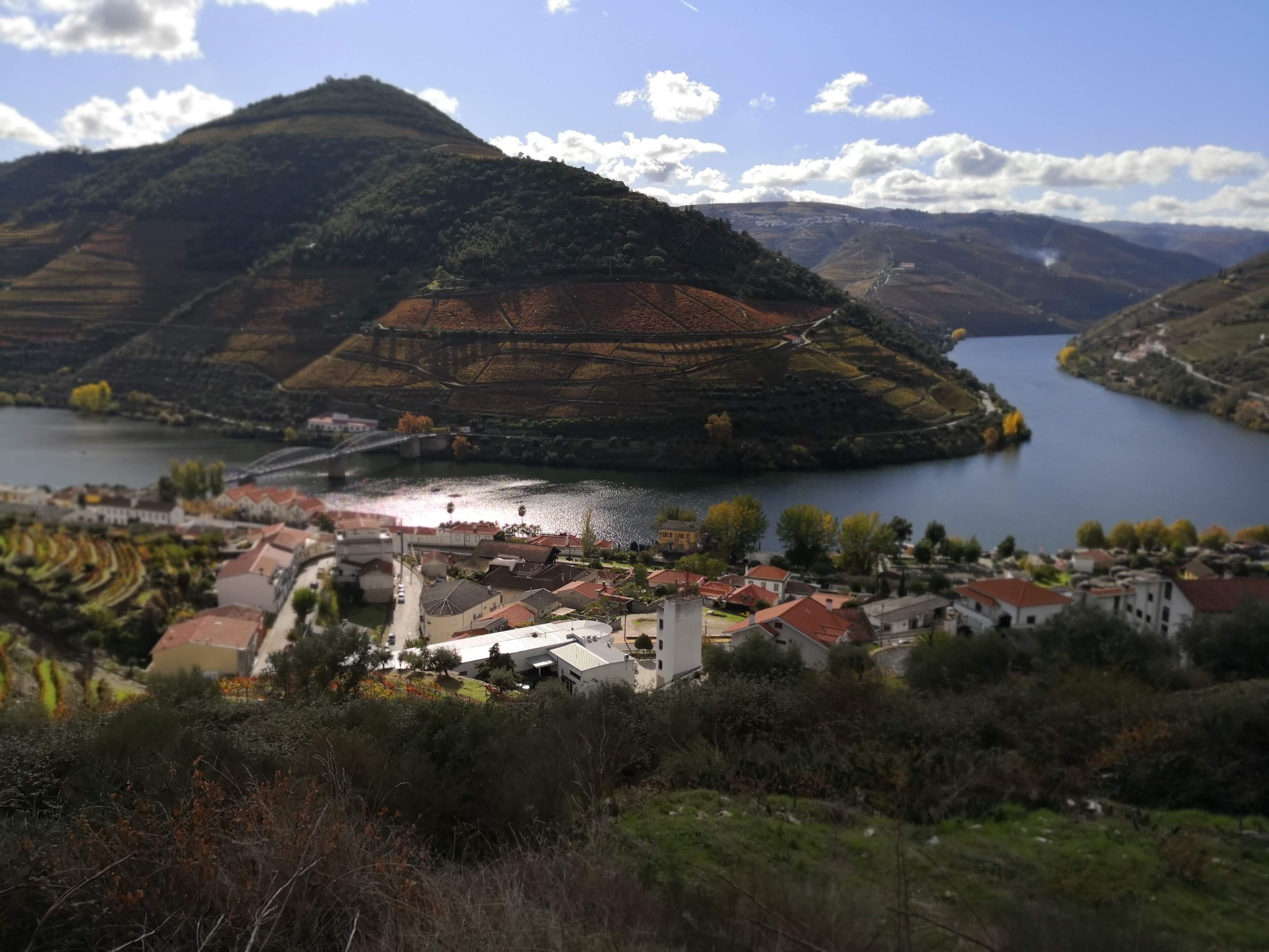 Pinhao and vineyard slopes in Alijo municipality