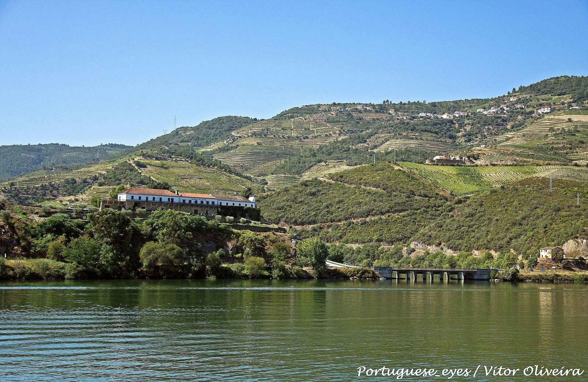 Quinta do Tedo estate terraces in the Douro Valley
