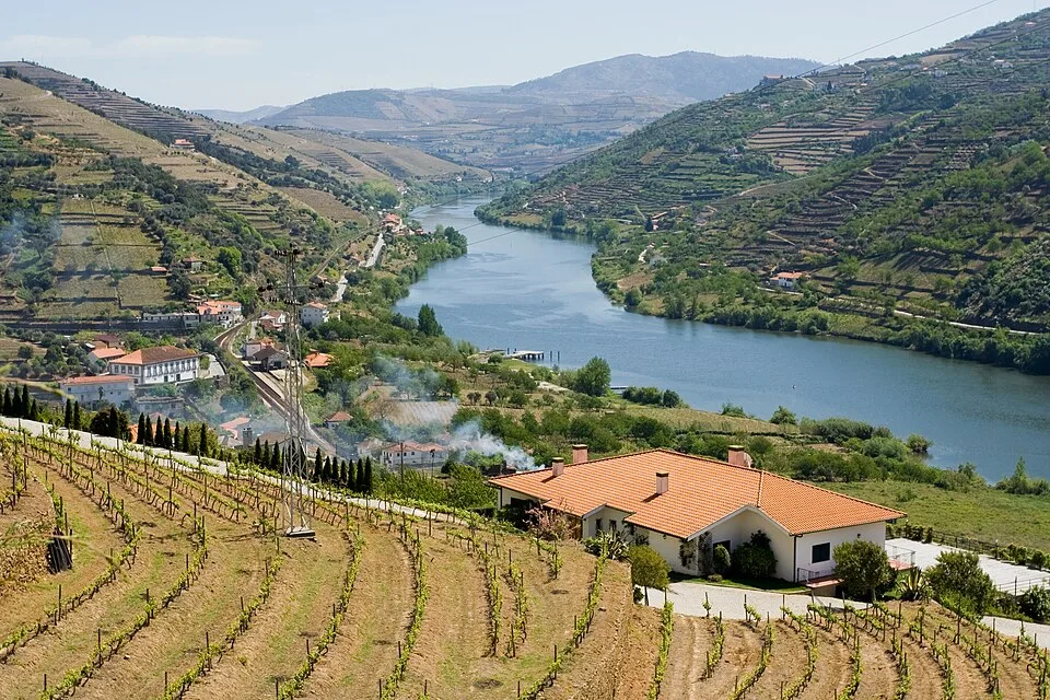 Peso da Regua above the Douro River