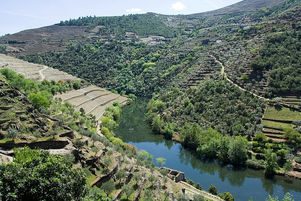 Landscape near Vila Nova de Foz Coa