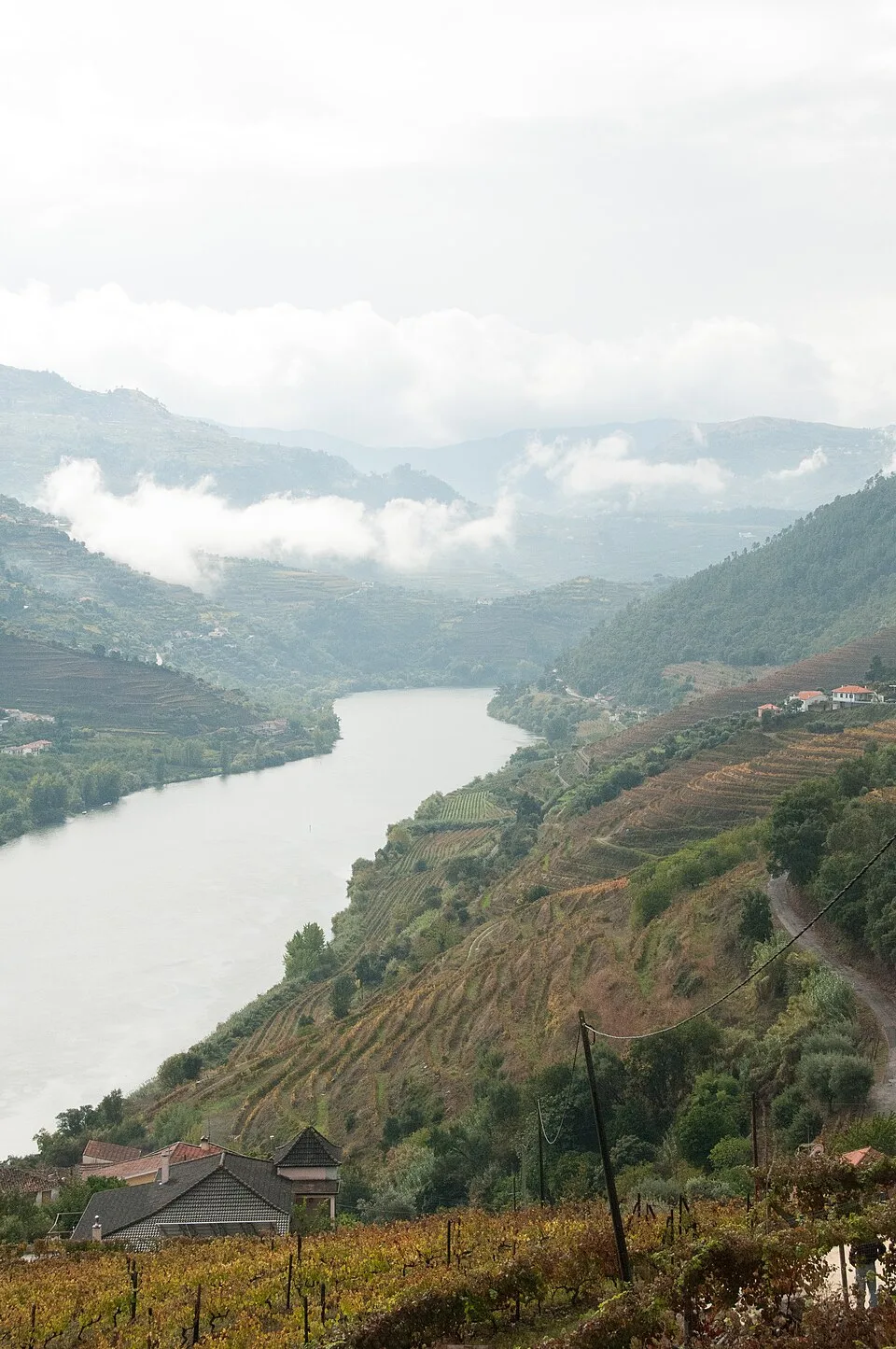View from the Douro train across the river and vineyard slopes